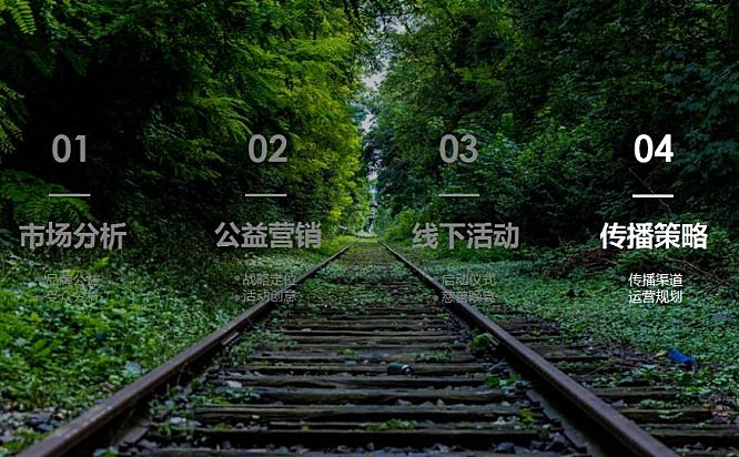 三棵树品牌公益活动执行方案46页PPT