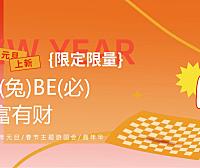 2023兔年嘉年华（TO(兔)BE(必)暴富有财主题）元旦春节活动策划方案-52P