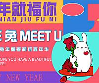 2023兔年新春潮玩嘉年华活动策划方案-60P